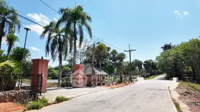 Charming gated entrance with palm trees and clear blue sky