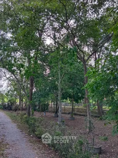 Serene garden view with lush greenery and a gravel path, perfect for nature lovers.