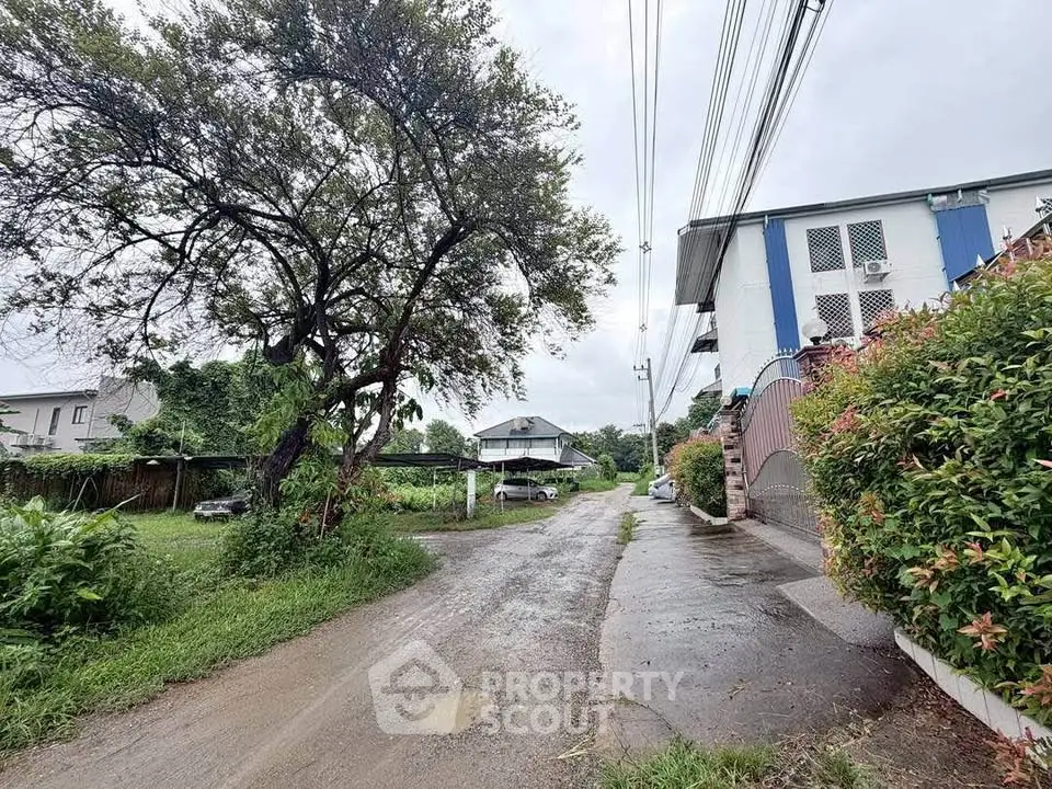 Charming residential street view with lush greenery and modern building exterior.