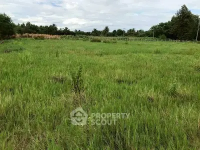 Expansive green land plot ideal for development with lush surroundings and serene environment.