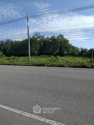 Prime land for sale with lush greenery and road access, ideal for development.