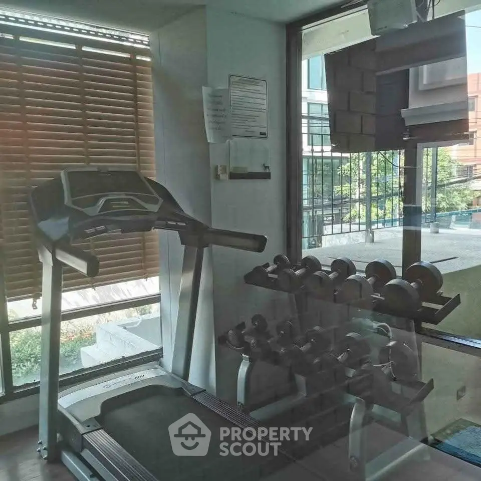 Modern gym with treadmill and dumbbells in a bright, sunlit room with large windows.