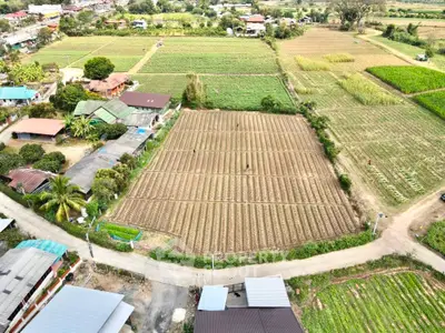 image_rental-16177348