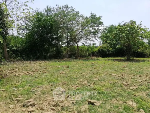 image_rental-8824910