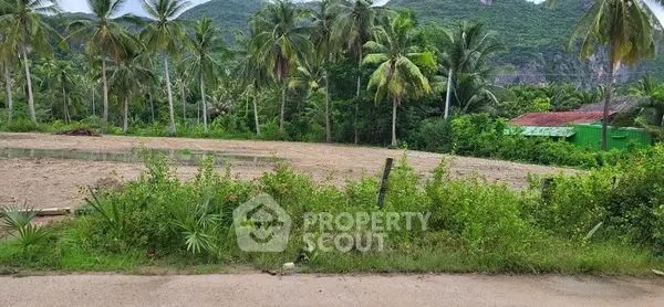 image_rental-20514959