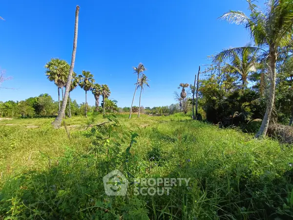 image_rental-14771825