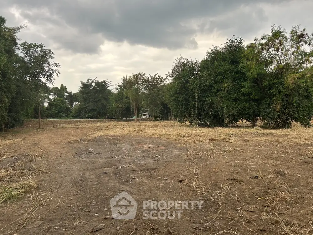Expansive vacant land surrounded by lush greenery, perfect for development opportunities.