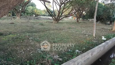 Spacious plot of land with lush greenery and mature trees, ideal for development or investment opportunities.