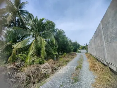 image_rental-27011326