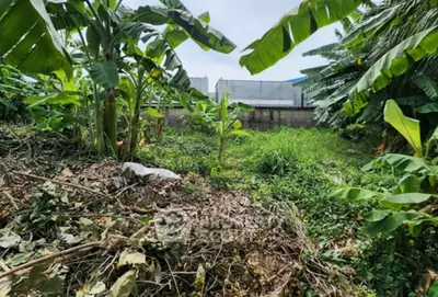 Screenshot 2568-12-24 at 10.55.44.jpg