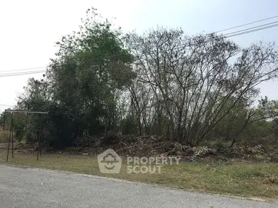 Vacant land plot with potential for development in a serene neighborhood.