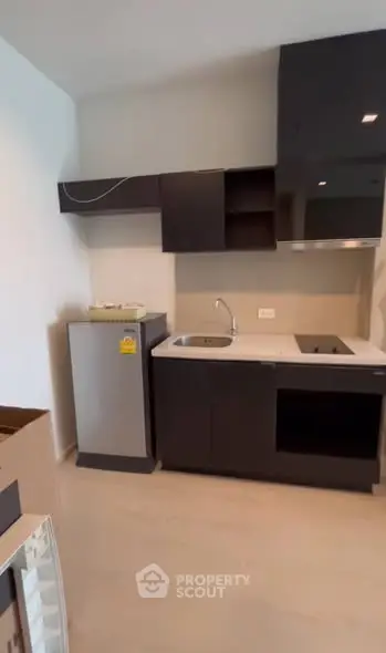 Modern kitchen with sleek black cabinets and built-in appliances