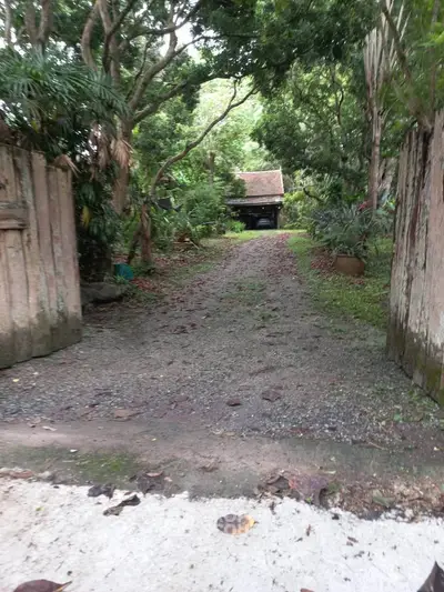 Charming rustic property entrance with lush greenery and gravel driveway leading to a quaint house.