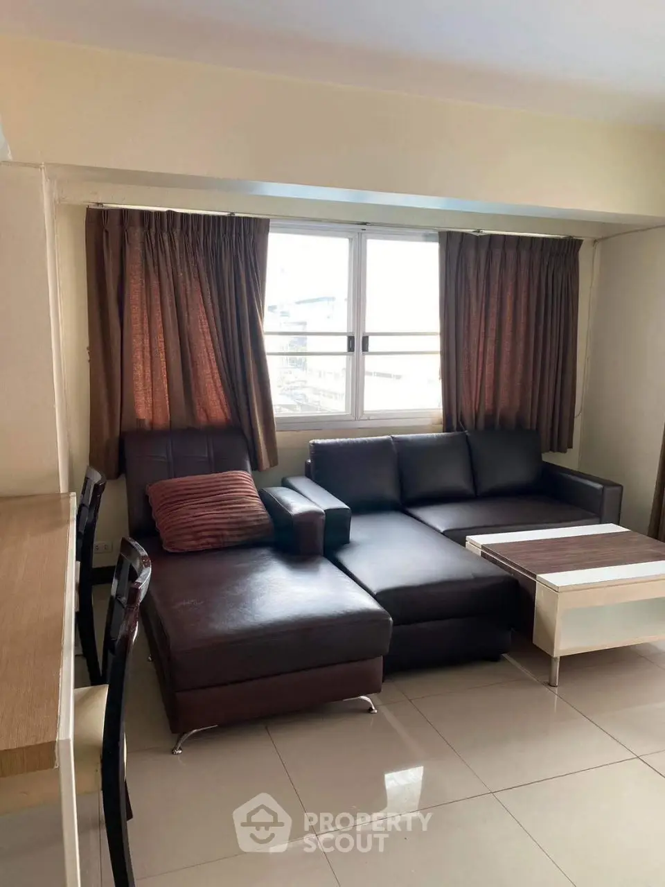 Cozy living room with modern leather sofa and natural light