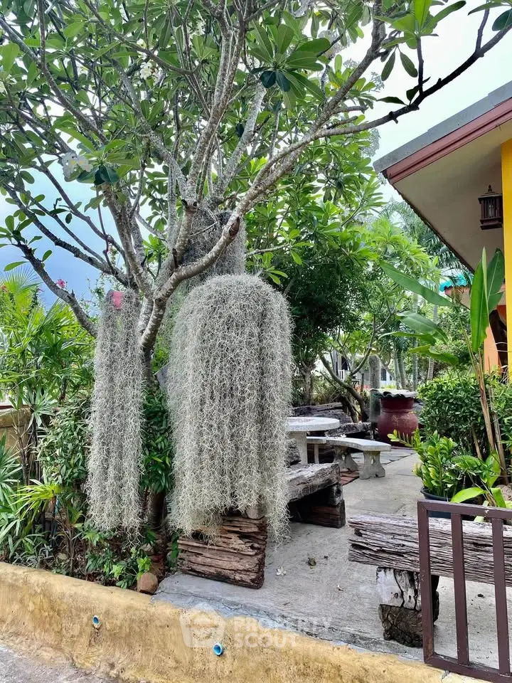 Charming garden area with rustic wooden benches and lush greenery, perfect for outdoor relaxation.