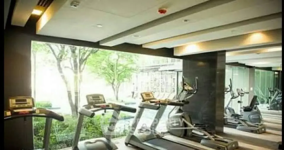 Modern gym with treadmills and large windows overlooking greenery