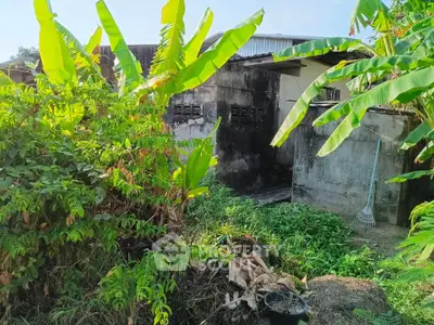 Charming rustic property with lush greenery and potential for garden landscaping.