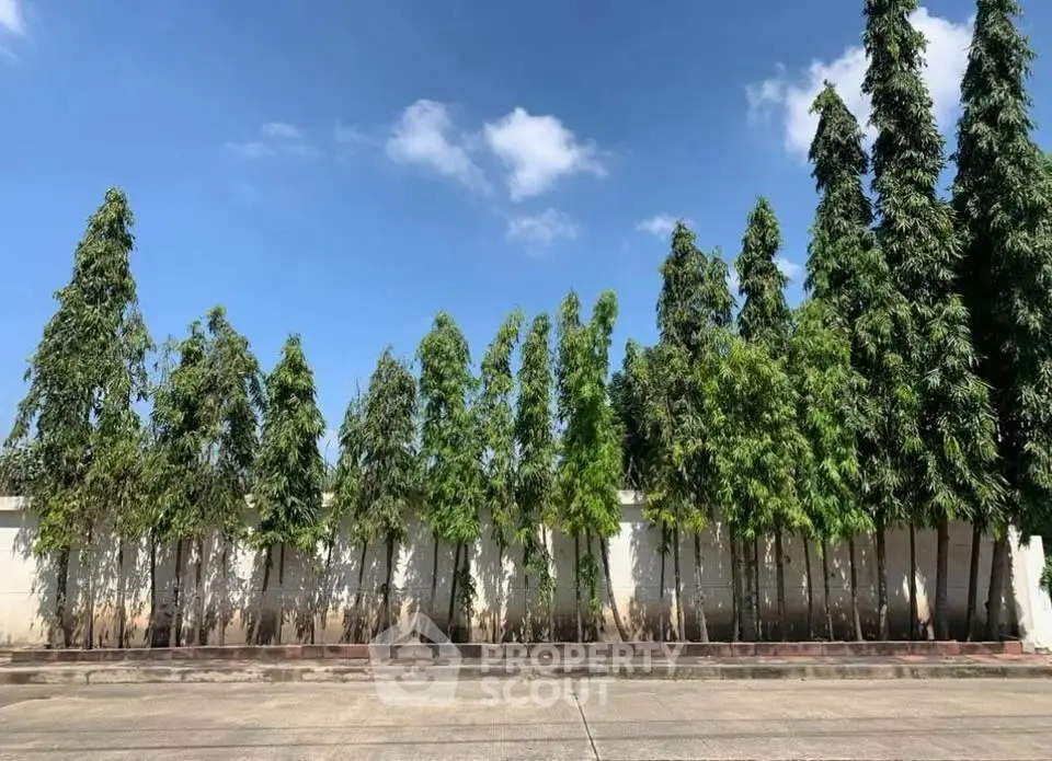 Lush garden view with tall trees against a clear blue sky, perfect for serene living.