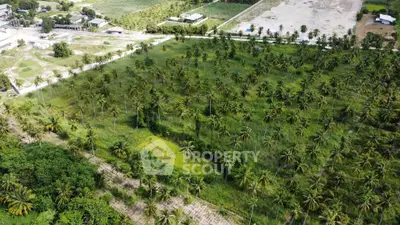Expansive aerial view of lush green land with palm trees, ideal for development opportunities.