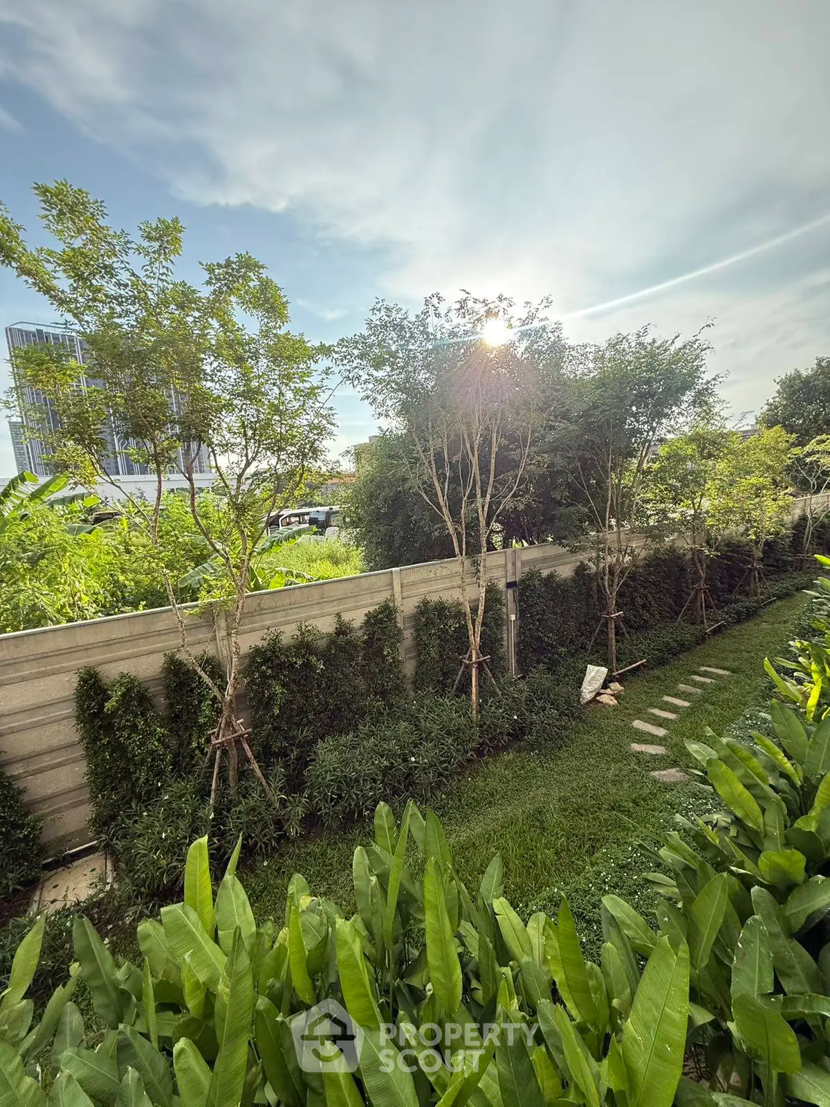 Lush garden view with vibrant greenery and sunlight filtering through trees, perfect for nature lovers.