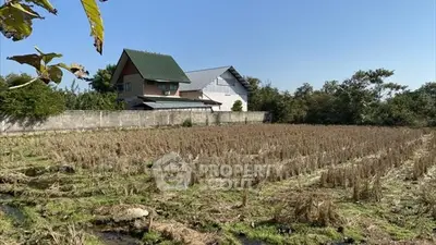 Charming countryside home with lush green surroundings and expansive field view.