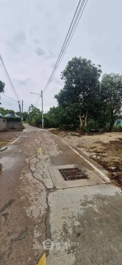Explore potential real estate opportunities on this quiet suburban street with lush greenery and open space.
