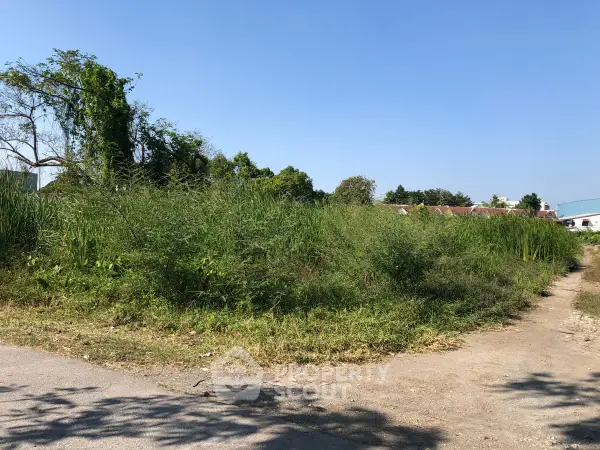 image_rental-26989368