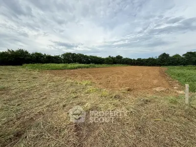 Expansive plot of land with lush greenery, perfect for development or agriculture.