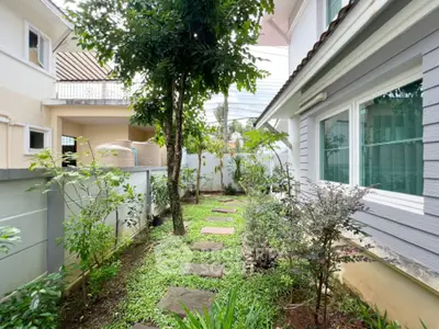 Charming garden pathway in residential property with lush greenery and modern exterior design.