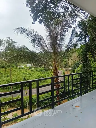 Scenic balcony view with lush greenery and palm trees, ideal for nature lovers.