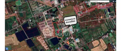 image_rental-31774713