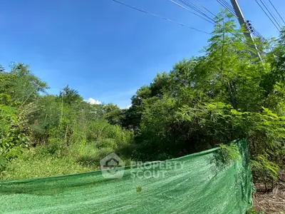 Lush green land plot with clear blue sky, ideal for development opportunities.