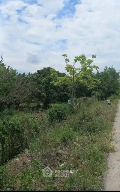 Scenic view of lush greenery and pathway, ideal for real estate development.
