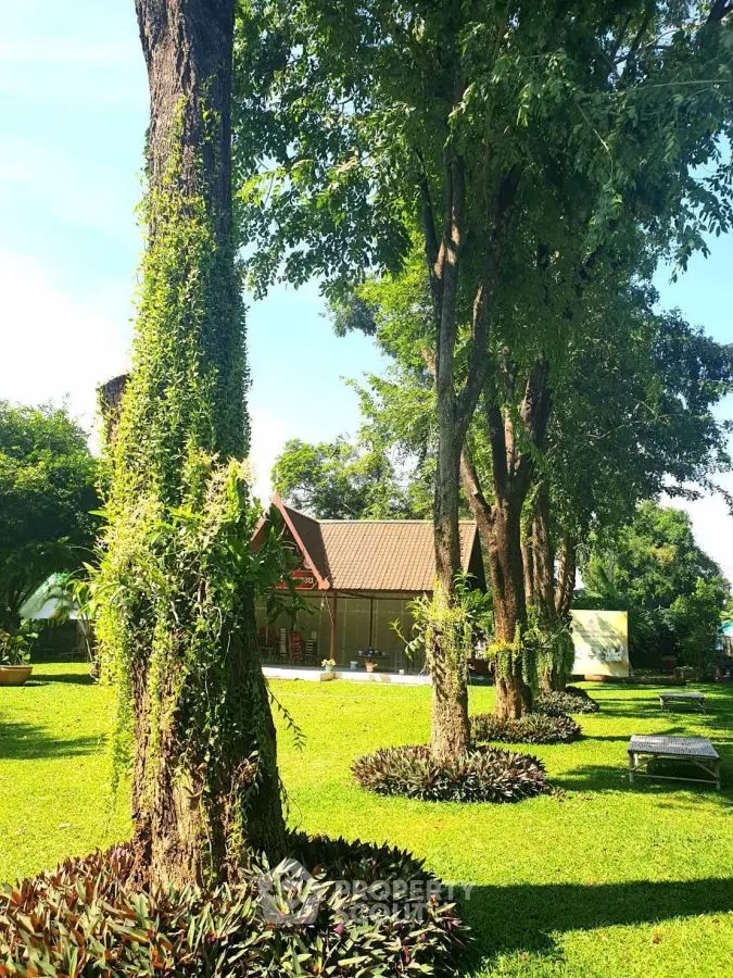 Lush garden with tall trees and a charming house in the background, perfect for nature lovers.