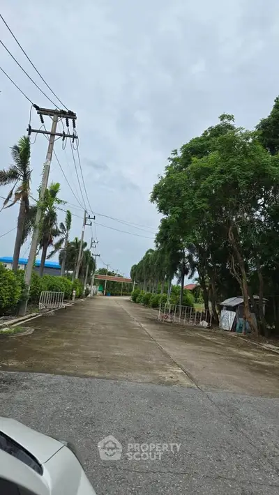 Scenic view of a tree-lined driveway leading to a residential area, perfect for serene living.