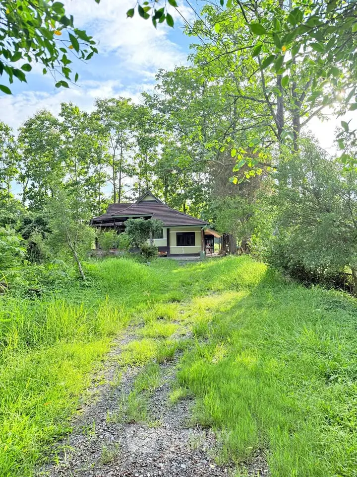 Charming countryside home surrounded by lush greenery and trees, offering a serene and private retreat.