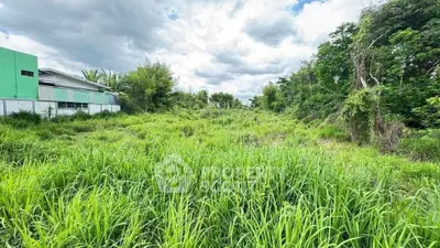 Expansive green land plot with lush vegetation, perfect for development opportunities.