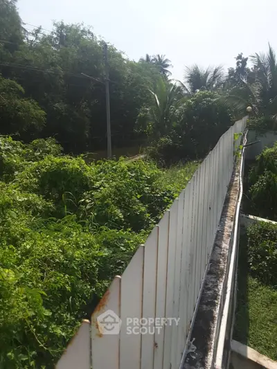 Lush green garden view with tall trees and white fence, perfect for nature lovers seeking tranquility.