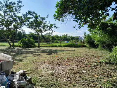 Spacious green land with trees, perfect for development or agriculture.
