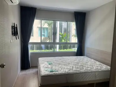 image_rental-31886238