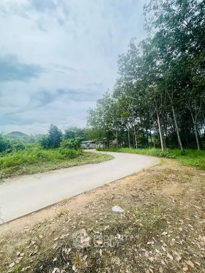 Scenic view of a winding road surrounded by lush greenery and trees.