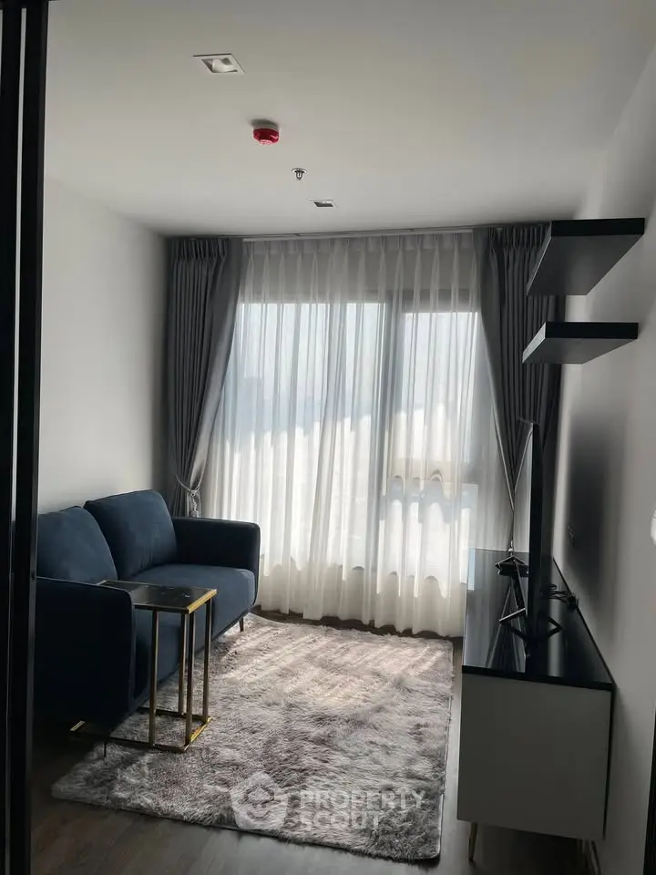 Cozy living room with plush rug, modern sofa, and large window with sheer curtains.
