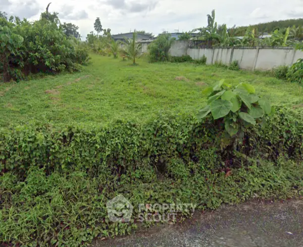 image_rental-17797843