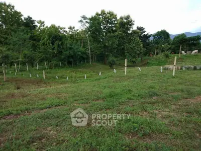 Expansive green land plot with lush trees, ideal for development or agriculture.