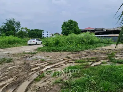 image_rental-27736379