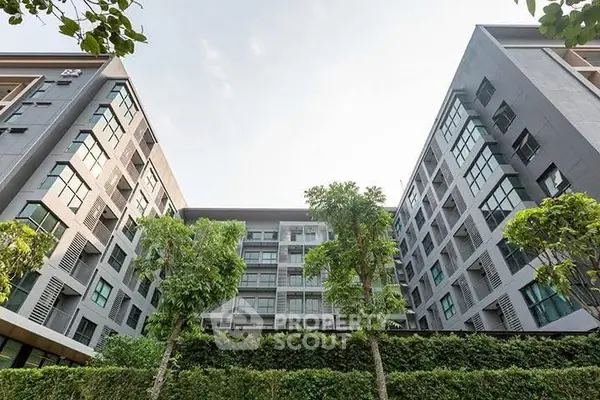 image_rental-30169361