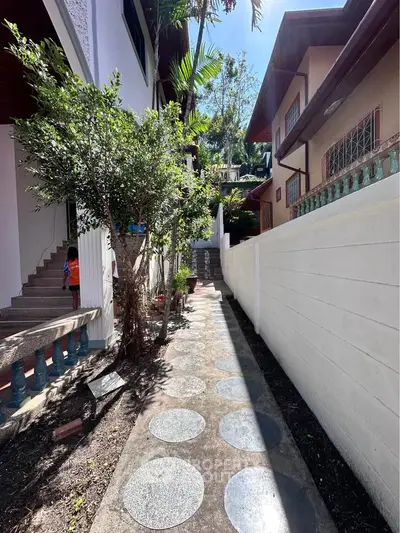 Charming pathway leading to a beautiful residential entrance with lush greenery and modern architecture.