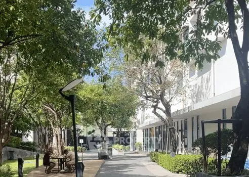Charming garden pathway with lush greenery and modern building facade.