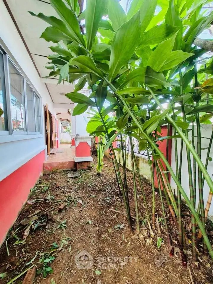 Charming garden area with lush greenery beside a vibrant red and white house exterior.