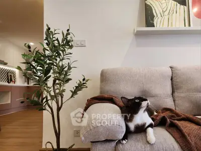 Cozy living room with stylish decor and a relaxed cat on the sofa, perfect for modern living.